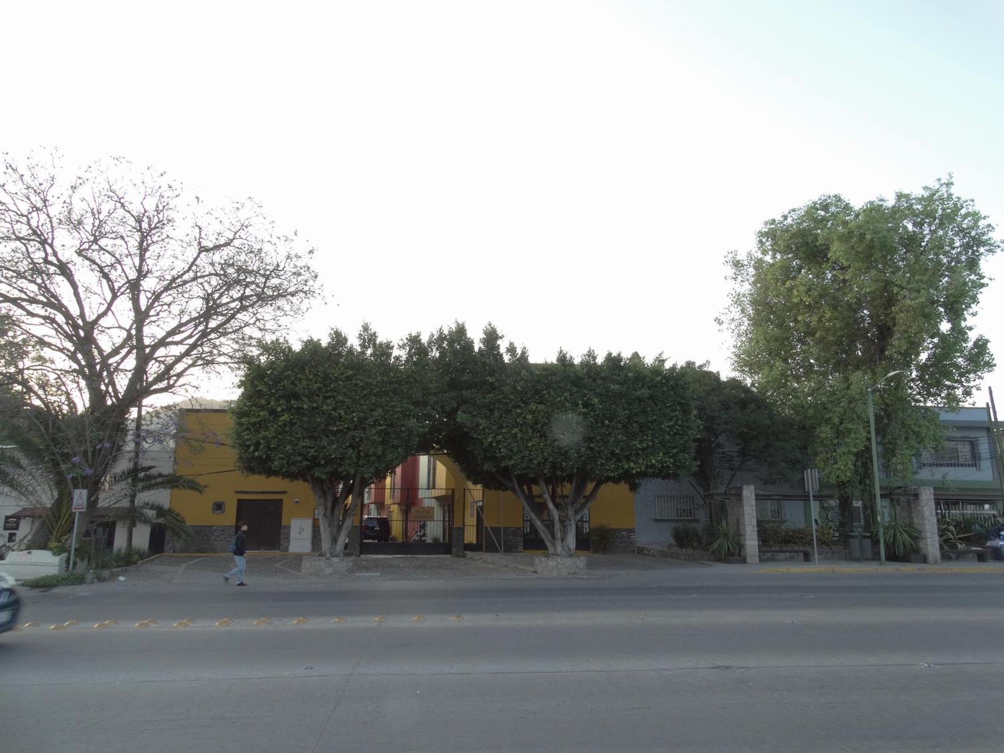 Hotel Camino De Allende San Miguel de Allende Exterior photo